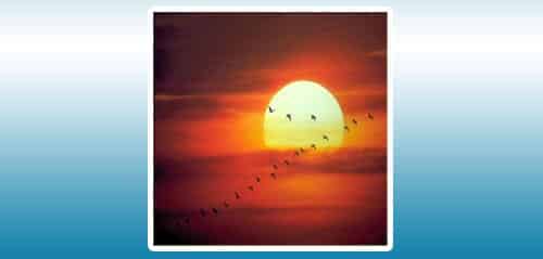 Relaksasi dengan Aplikasi Relaxing Music Of Nature Relaxing music of nature