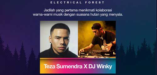 Sounds of 3 Electrical Forest